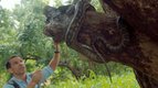 S01 E01 - Les forêts tropicales humides et sauvages — Champions de la survie