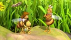 S01 E01 - Le juge Ciredabeille — Maya l'abeille 3D