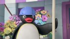 S01 E02 - Pingu chef de chantier — Pingu in the city