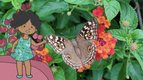 S02 E03 - Voici un papillon — L'imagier animé de Koumi