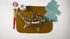 S01 E04 - Le poisson-bouteille — Les Bricos d'Elvis