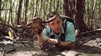 S01 E05 - La boue des mangroves — Champions de la survie
