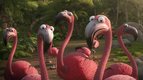 S01 E05 - L'invasion a déjà commencé — Les as de la jungle
