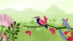 S01 E06 - Le colibri : champion du monde de la haute voltige — Les super pouvoirs du vivant