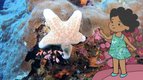 S02 E08 - Voici une étoile de mer — L'imagier animé de Koumi