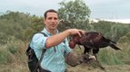 S01 E08 - Les survivants de la savane — Champions de la survie