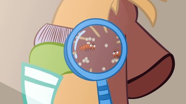 S01 E09 : Invasion de poux ! — Croco Doc