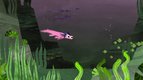 S01 E12 - L'axolotl : le monstre des lacs mexicains — Les super pouvoirs du vivant