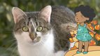S02 E14 - Voici un chat — L'imagier animé de Koumi