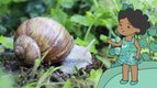 S02 E15 - Voici un escargot — L'imagier animé de Koumi