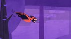 S01 E16 - La chauve-souris : les oreilles  ont parfois des yeux — Les super pouvoirs du vivant