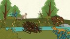 S02 E16 - Voici un castor — L'imagier animé de Koumi