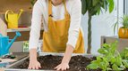 S01 E09 - Installer des légumes à l'automne — mon premier potager