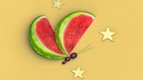S01 E09 - Le papillon de nuit — A Table T'choupi !