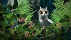 S01 E01 - Naître une seconde fois — Bonjour le monde !