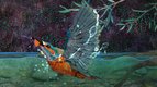 S01 E03 - Une place au soleil — Bonjour le monde !