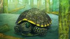 S01 E04 - La maîtresse du temps — Bonjour le monde !