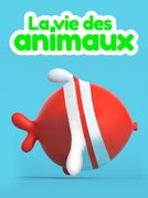 La vie des animaux: regarder la playlist
