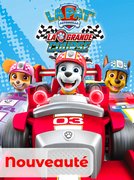 La Pat' Patrouille : La grande course !: regarder le film