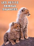 Les petits animaux sauvages: regarder le documentaire