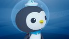 S01 E05 - Les Octonauts et une baleine à bosse albinos — Les Octonauts