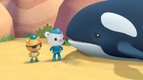 S01 E09 - Les Octonauts et les orques — Les Octonauts
