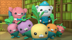 S02 E10 - Les Octonauts et Simon le cachalot — Les Octonauts