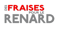 Des fraises pour le renard