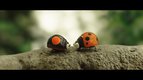 Minuscule 2, les mandibules du bout du monde