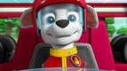 La Pat' Patrouille : La grande course !