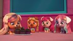S01 E01 - Club VIP Pets — VIP Pets