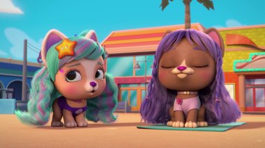 S02 E02 : Stella et l'étoile — VIP Pets
