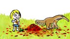 S02 E07 - L'île puzzle — Petit Malabar