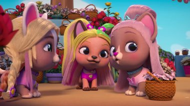 S02 E12 : Qui suis-je? — VIP Pets