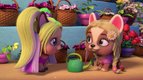 S02 E13 - Operation bring back water — VIP Pets