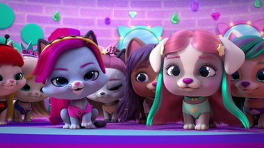 S03 E03 : Le challenge est accepté — VIP Pets