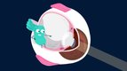 S01 E08 - La vue — Scoopy en direct du corps humain