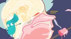 S01 E09 - L'odorat — Scoopy en direct du corps humain