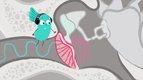 S01 E11 - L'ouïe — Scoopy en direct du corps humain