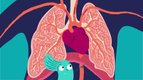 S01 E12 - La respiration — Scoopy en direct du corps humain