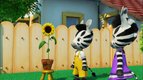 S01 E12 - Goldie le tournesol — Zou