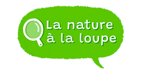 La nature à la loupe