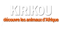Kirikou découvre les animaux d'Afrique