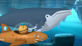 Les Octonauts et les baleines à bosse