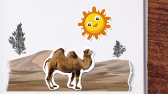 Pourquoi les chameaux ont-ils deux bosses ?