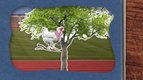 Pourquoi les poules ne volent-elles pas ? — les p'tits curieux