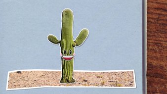 Pourquoi les cactus ont-ils des épines ?
