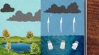 Pourquoi l’eau de la mer est-elle salée ? — les p'tits curieux