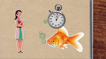 Est-ce vrai que les poissons rouges ont une mémoire de trois secondes ?