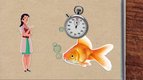 Est-ce vrai que les poissons rouges ont une mémoire de trois secondes ? — les p'tits curieux